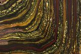 Polished Tiger Iron Stromatolite Slab - Billion Years #354950-1